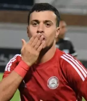 فوزي الحناوي