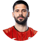 الكسندر ميتروفيتش