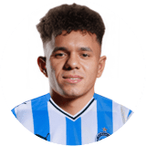 محمود  زلاكة