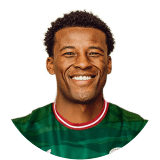 جورجينيو فينالدوم