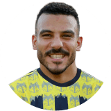 شكري نجيب