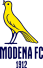 فريق