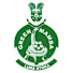 غرين مامبا