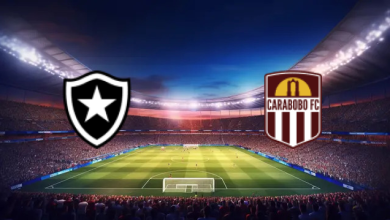 match image 1746317156 1