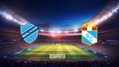 match image 1746490215 1