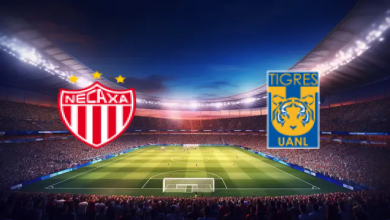 match image 1746835638 1