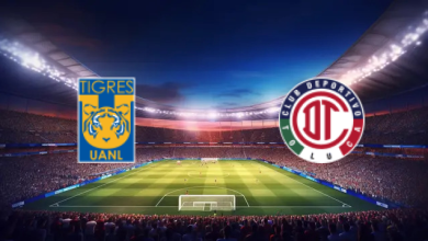 match image 1747353911 1