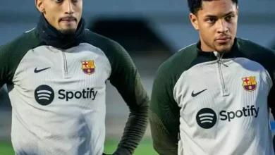 رافينيا فيتور روكي