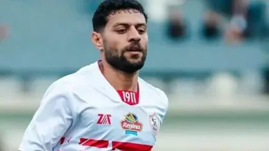عودة مصطفى شلبي