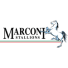 ماركوني ستاليونز