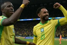 البرازيل ضد باراجواي