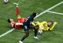 كورتوا دوناروما