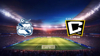 match image 1754238042 1