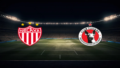 match image 1756598729 1