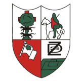 زاموديو