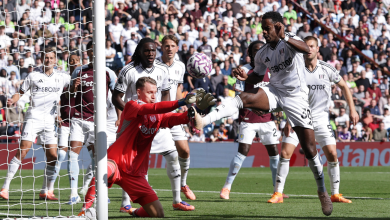 أستون فيلا ضد فولهام