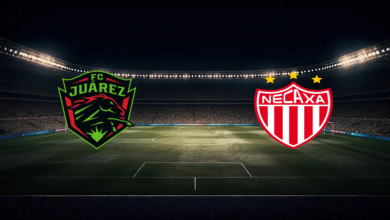 match image 1757635238 1