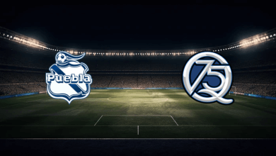 match image 51611 1759536037 1