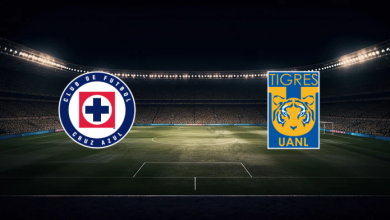 match image 51633 1759536055 1