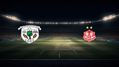 match image 52993 1760400096 1