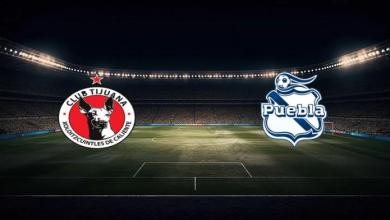 match image 53343 1760659286 1