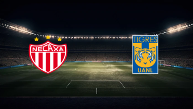 match image 53345 1760659288 1