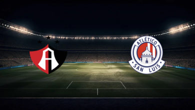 match image 53347 1760659291 1