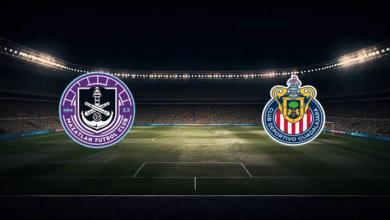 match image 53742 1760745705 1