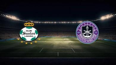 match image 54366 1761004915 1