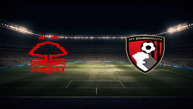 match image 55341 1761350591 1