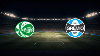 match image 55445 1761350709 1