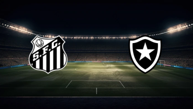 match image 55447 1761350712 1