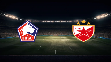 match image 57636 1762301109 1