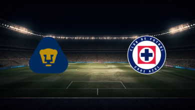 match image 58118 1762710975 1