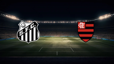 موعد مباراة فلامنجو وسانتوس اليوم 2025/11/09 في الدوري البرازيلي - الدرجة الأولى والقنوات الناقلة 1 match image 58272 1762711159 1