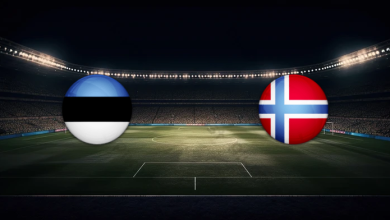 match image 58499 1762905846 1