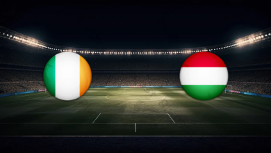 match image 59239 1763165071 1