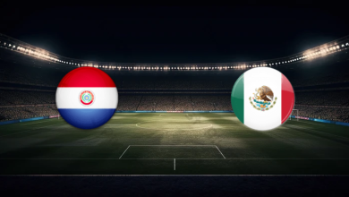 match image 59547 1763424213 1