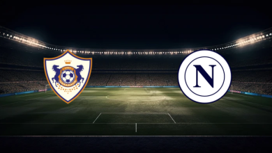 match image 60336 1763942672 1