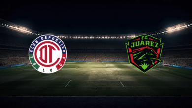 match image 60412 1764029029 1