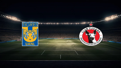 match image 60418 1764029034 1