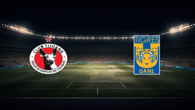 match image 61093 1764432644 1