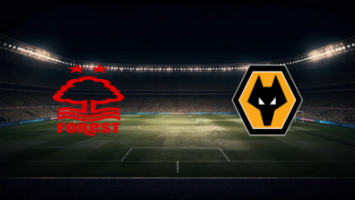 match image 62083 1764633958 1