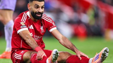 rss ai image 1766151644 694555dcc7b4b