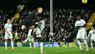 مانشستر سيتي ضد فولهام