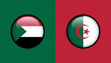 مباراة الجزائر ضد السودان
