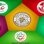 أفضل الدوريات العربية