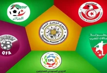 تصنيف الدوريات العربية 2025: من يتربع على العرش.. ومن يطارد الصدارة (ترتيب كامل) 2 أفضل الدوريات العربية