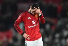 إحباط برونو فرنانديز