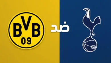 مباراة توتنهام ضد بوروسيا دورتموند